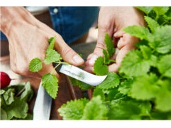 Wüsthof URBAN FARMER Paring Knife 8 Cm -Kershaw Sale 3400 08 urban farmer nuz sklizeci 8 cm wusthof solingen3