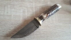 Damascus Skinner Stag -Kershaw Sale 7Fdamascus skinner stag . 1 1