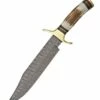 Damascus Bowie -Kershaw Sale damascus bowie 11827