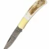 Damascus Lockback Stag