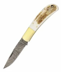 Damascus Lockback Stag