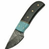 Damascus Skinner Horn Turquoise -Kershaw Sale damascus skinner horn turquoise 6819