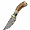 Damascus Skinner Stag -Kershaw Sale damascus skinner stag 7707