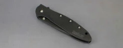 Kershaw Leek Framelock A/O Black KS1660CKT -Kershaw Sale kershaw leek . 98