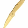 Kershaw Leek A/O Gold KS1660G -Kershaw Sale kershaw leek ao gold ks1660g 10864