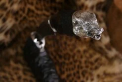 Nord Crown Volk -Kershaw Sale nord crown volk 99