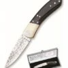 Knife Miguel Nieto ART-8 -Kershaw Sale noz miguel nieto art 8 7523