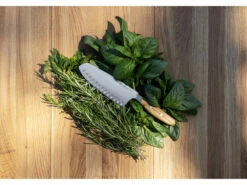 Wüsthof AMICI Santoku Knife 17 Cm -Kershaw Sale santoku5