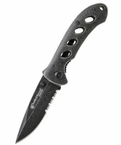 Smith & Wesson Oasis Linerlock SW421