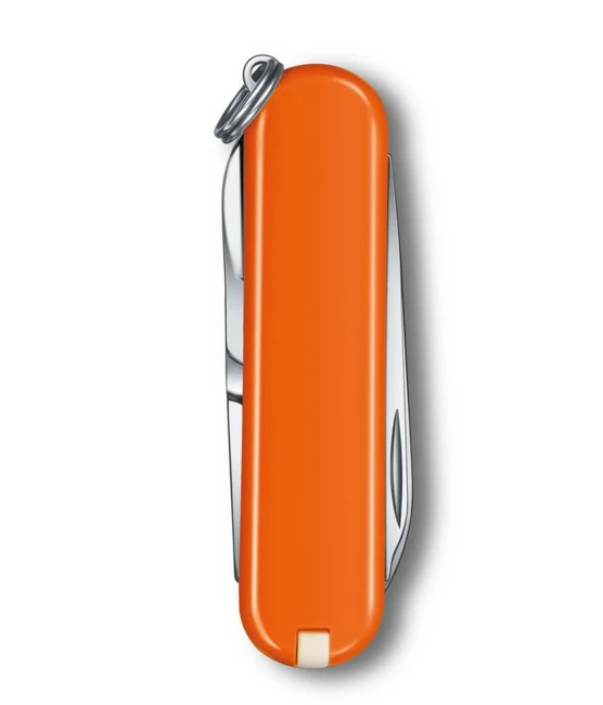 Swiss Army Knife - Victorinox CLASSIC 0.6223.83.G 4 Swiss Army Knife - Victorinox CLASSIC 0.6223.83.G - Image 2